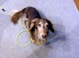 o0720040513099041195