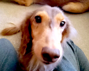 o0800045013148965143