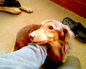 o0800045013148965161