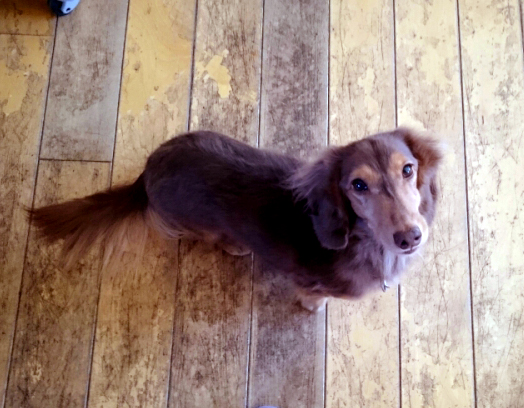 o0800045013148965179