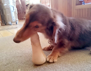 o0800045013148965204